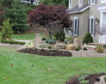 gravel landscaping project tree transfer