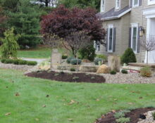 gravel landscaping project tree transfer