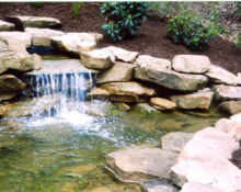 backyard pond installation lucas landscaping