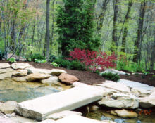 backyard pond installation lucas landscaping