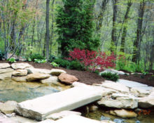 backyard pond installation lucas landscaping