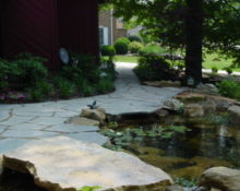stone path backyard pond