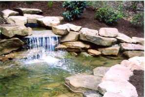 backyard pond installation lucas landscaping